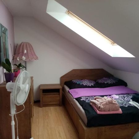 Podkrovni Apartman Tereza Daire Rumburk Dış mekan fotoğraf