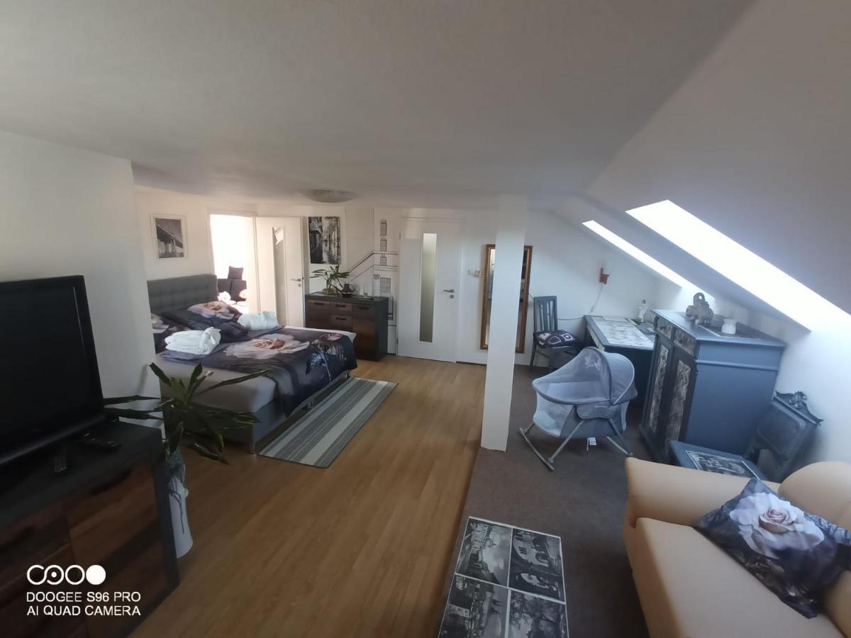 Podkrovni Apartman Tereza Daire Rumburk Dış mekan fotoğraf