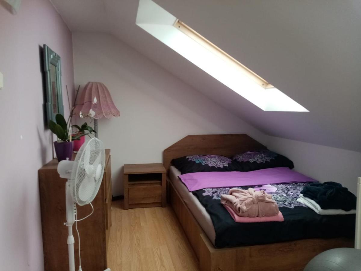 Podkrovni Apartman Tereza Daire Rumburk Dış mekan fotoğraf