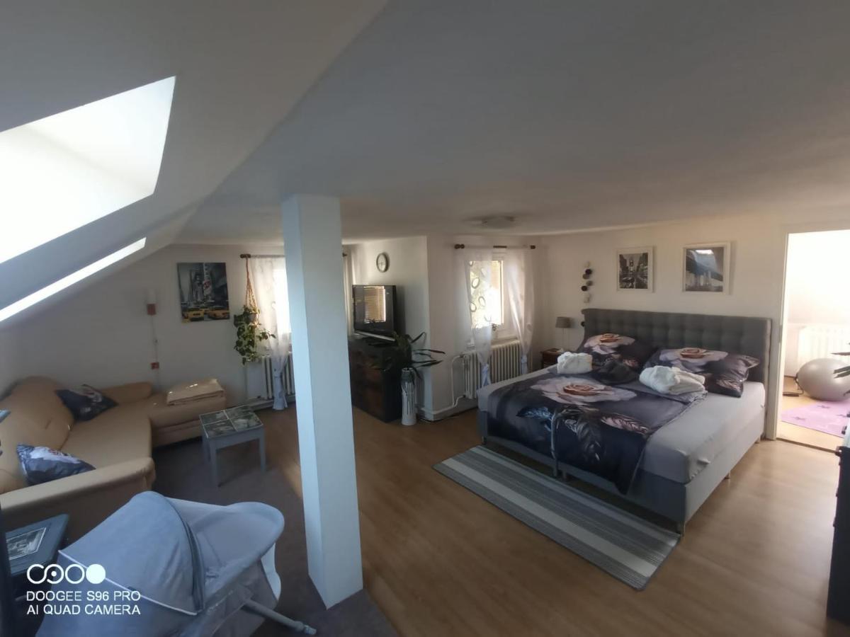 Podkrovni Apartman Tereza Daire Rumburk Dış mekan fotoğraf