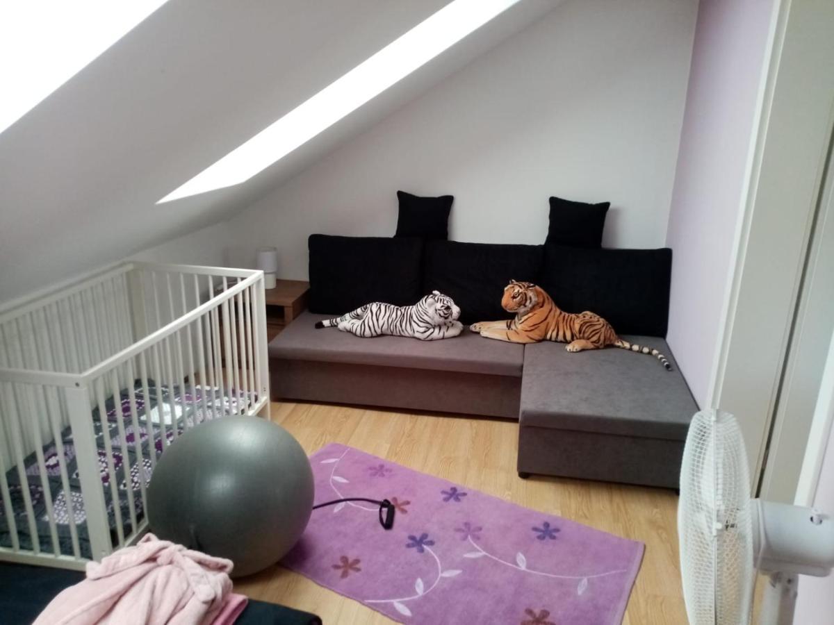 Podkrovni Apartman Tereza Daire Rumburk Dış mekan fotoğraf