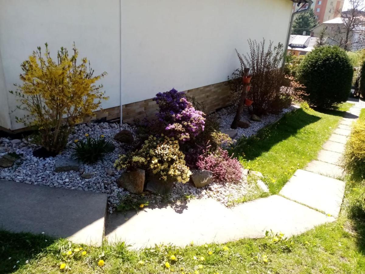 Podkrovni Apartman Tereza Daire Rumburk Dış mekan fotoğraf